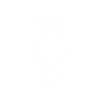 Illustration of DNA