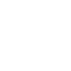 Illustration of a hand holding soil with a seedling.