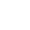 Policy icon