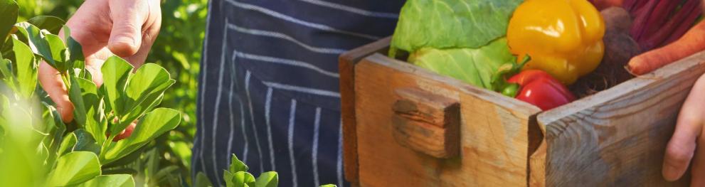 A wooden crate with vegetables.