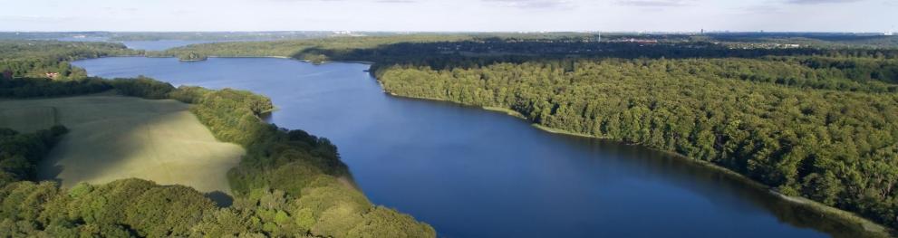 A large lake surrounded by forest.