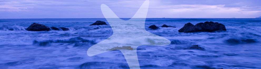 Semitransparent starfish silhoutte on top of a dark blue North Sea