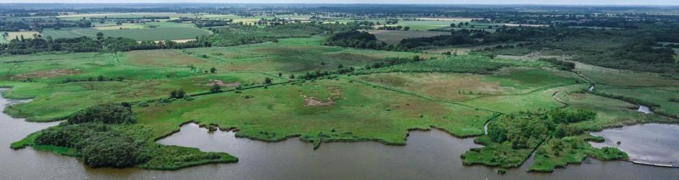 Sweeping aerial view of a green landscape of peatlands next to open water