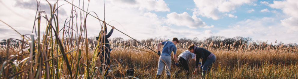 Canape working in peatlands