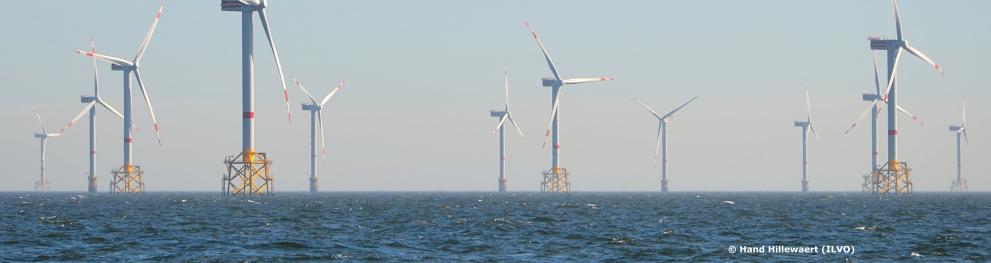 Offshore Wind Farm