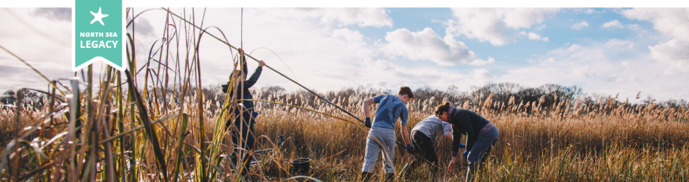 A group of people working in a peatland area in clement weather.
