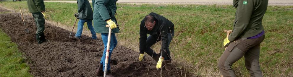 Ministry of Infrastructure and Water Management, the Province of Fryslân, and the Municipality of Leeuwarden, resulted in the planting of 3000 trees in Beekdal De Linde