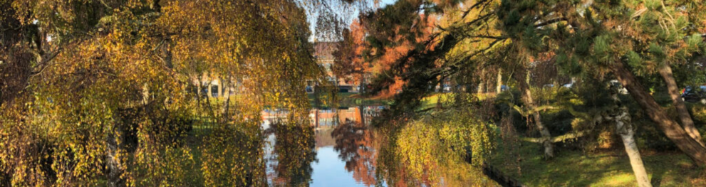 Locals enjoying their biodiverse city