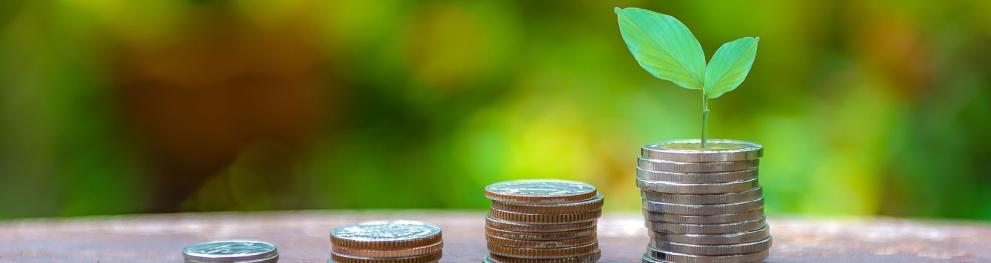 Stacks of coins on a wooden table, with a seedling and greenergy in the background