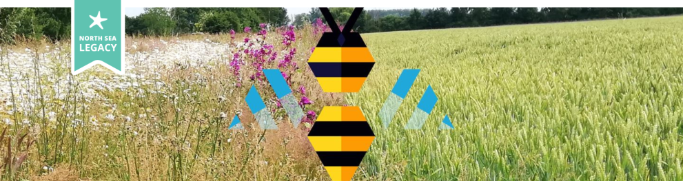 An illustration of a bee superimposed on two landscapes - one rich in flowers, the other a monotonous corn field.