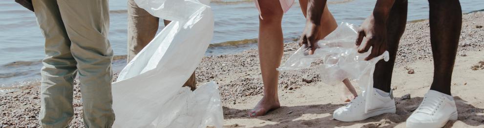beach clean up