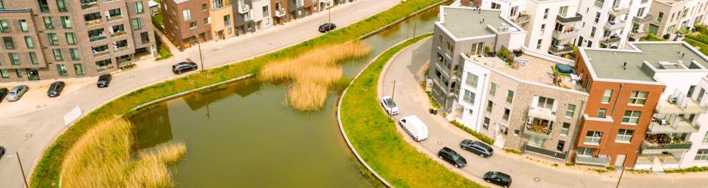 1_Ulrich Perrey - HAMBURG WASSER_District Jenfelder Au_1.jpg