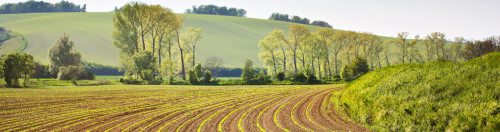 Carbon farming