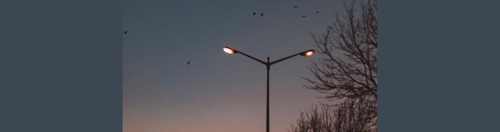 Street lights at dawn