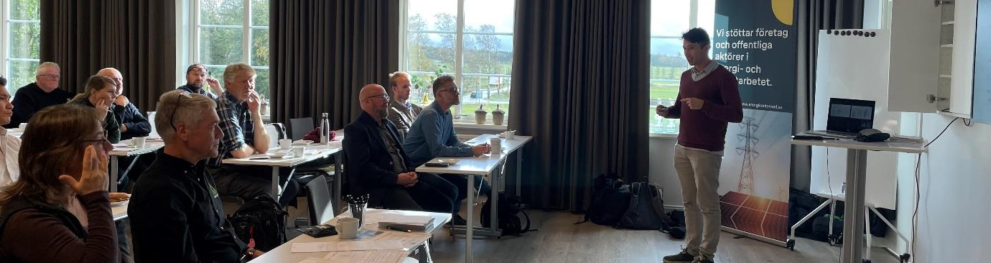 Swedish workshop 2