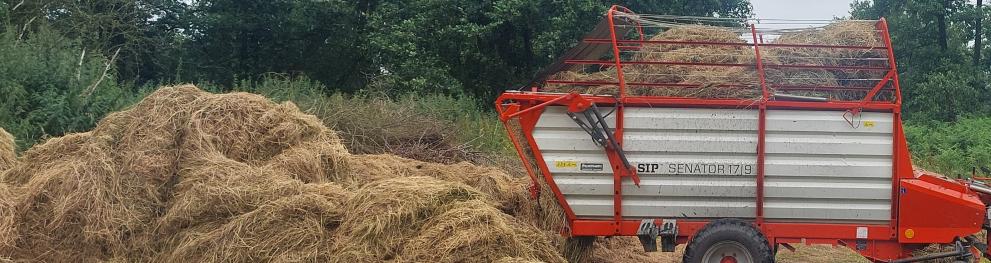 Biomass transport 3
