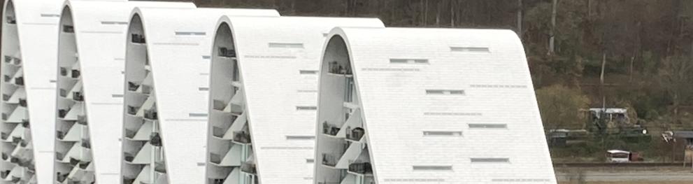 The Wave, Vejle