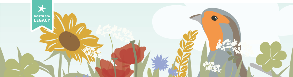 An illustration of a grey partridge with wild flowers.
