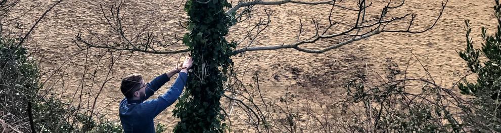 Installing acoustic device for birds in Brest