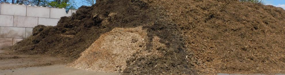 compost 