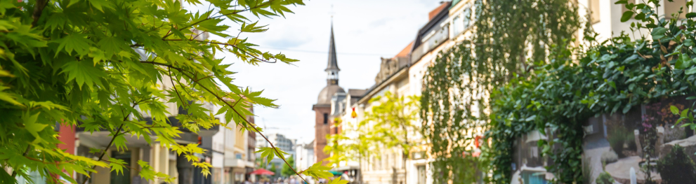View of trees and buildings 