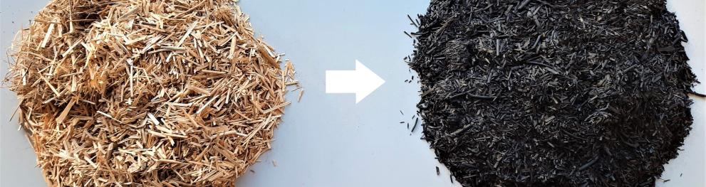 Biochar