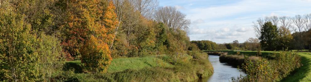 Demer River