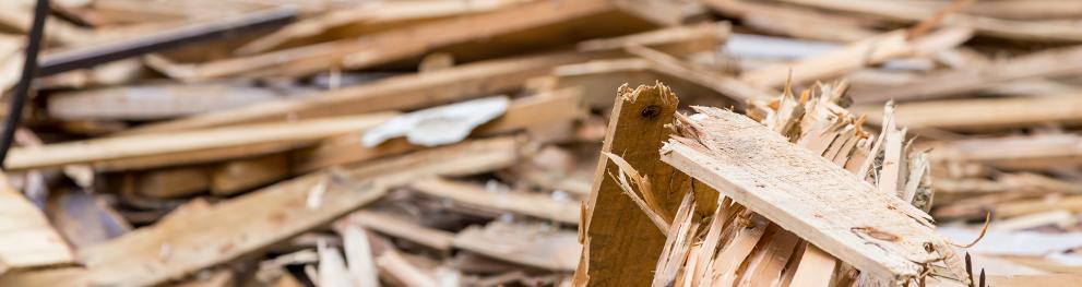 20250506 wood waste image2