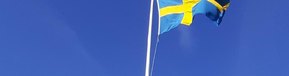 Sky and SE flag