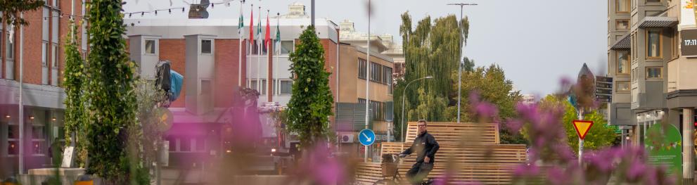 Summer street in Växjö
