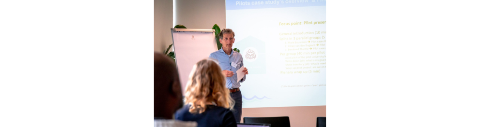 Pilot presentation