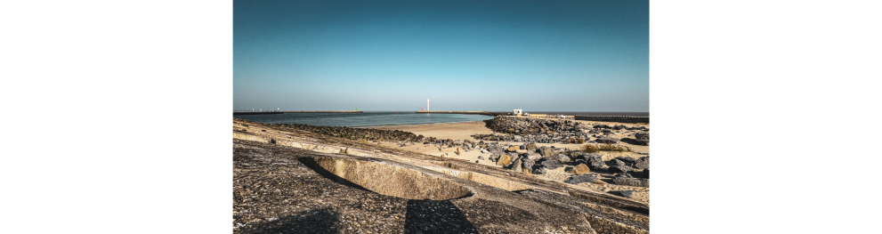 Photo of Flanders