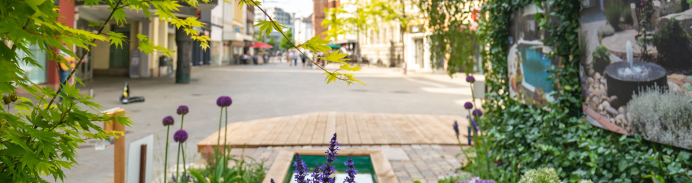 Flower bed in town centre