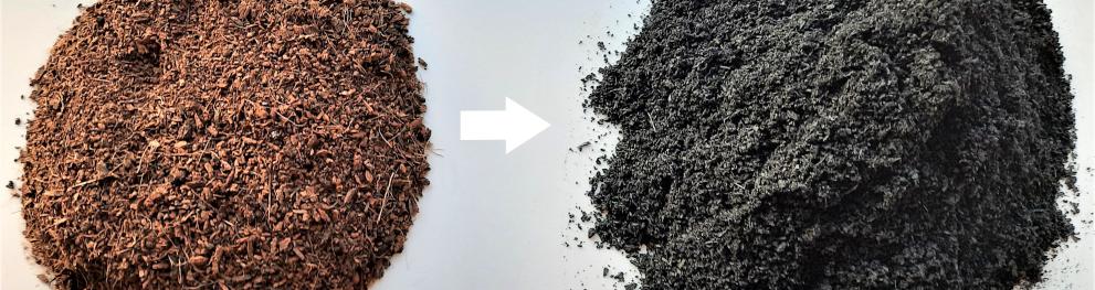 Biochar