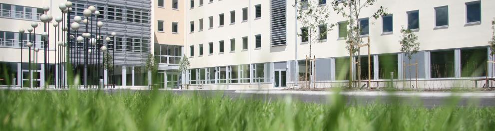 Societal Impact Hub
