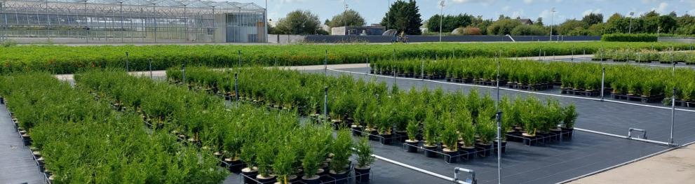 TRial peat free