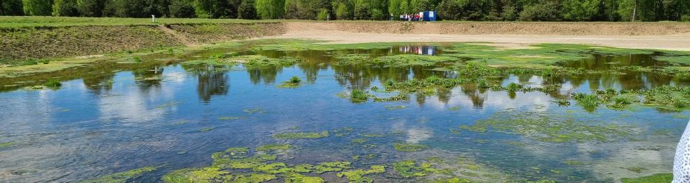 wetland in Sweden