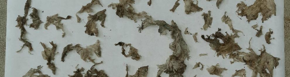 Plastic particles