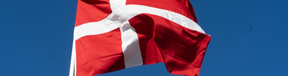 Danish Flag