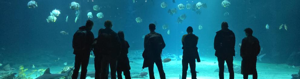 TREASURE at Nausicaá