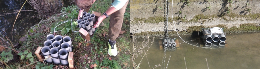 Condo traps in France