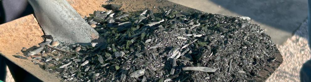 Biochar