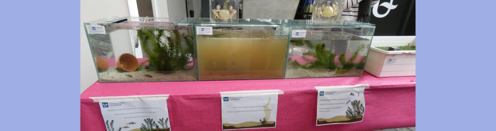 Header - Science Day 2025