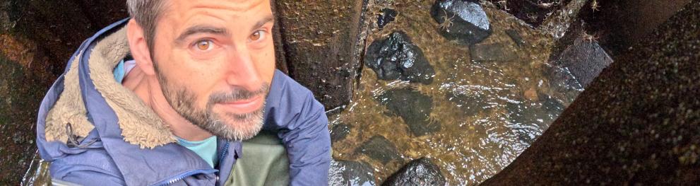 Björn Fishladder Crabs