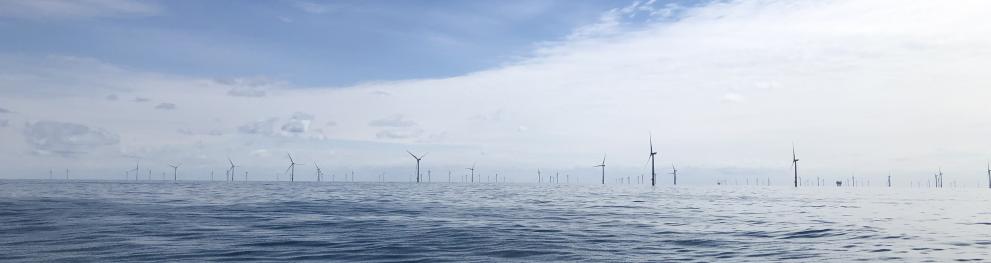 Photo taken during the sampling campaign in 2024 