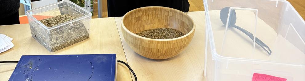 Photo: Helen Ekvall - a photo of seeds