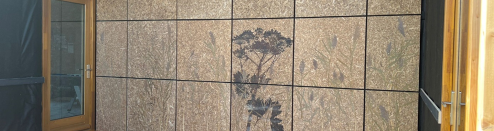 Panel made of cattail 