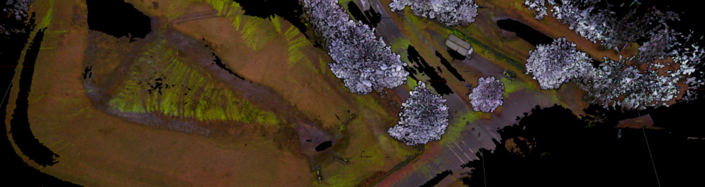 screenshot model Damme