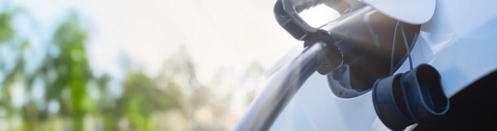 Closeup of charging cable inserted into a car, with greenery behind.