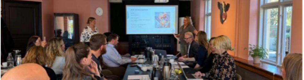 Workshop participants gathered around a table as two presenters lead a discussion on homecare innovation and adaptations, with a presentation displayed on a screen.